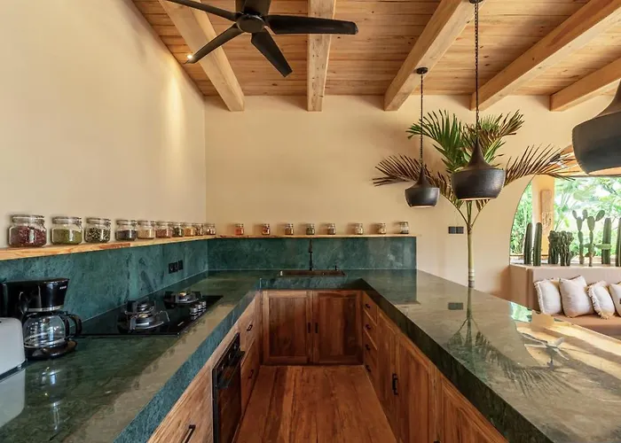 Simba 4 Bedroom Walking Distance To The Canggu